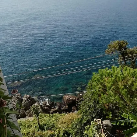 House In Punta Chiappa Villa Camogli
