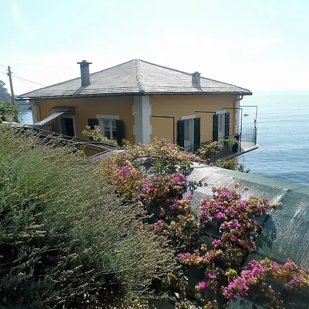 House In Punta Chiappa Villa
