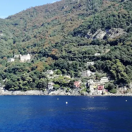 House In Punta Chiappa Villa *